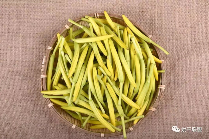 黃花菜1.jpg 黃花菜1.jpg