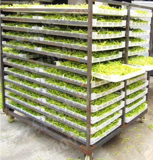 黃花菜7.jpg 黃花菜7.jpg