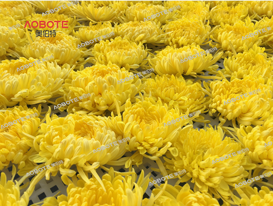 圖片2.png 圖片2.png