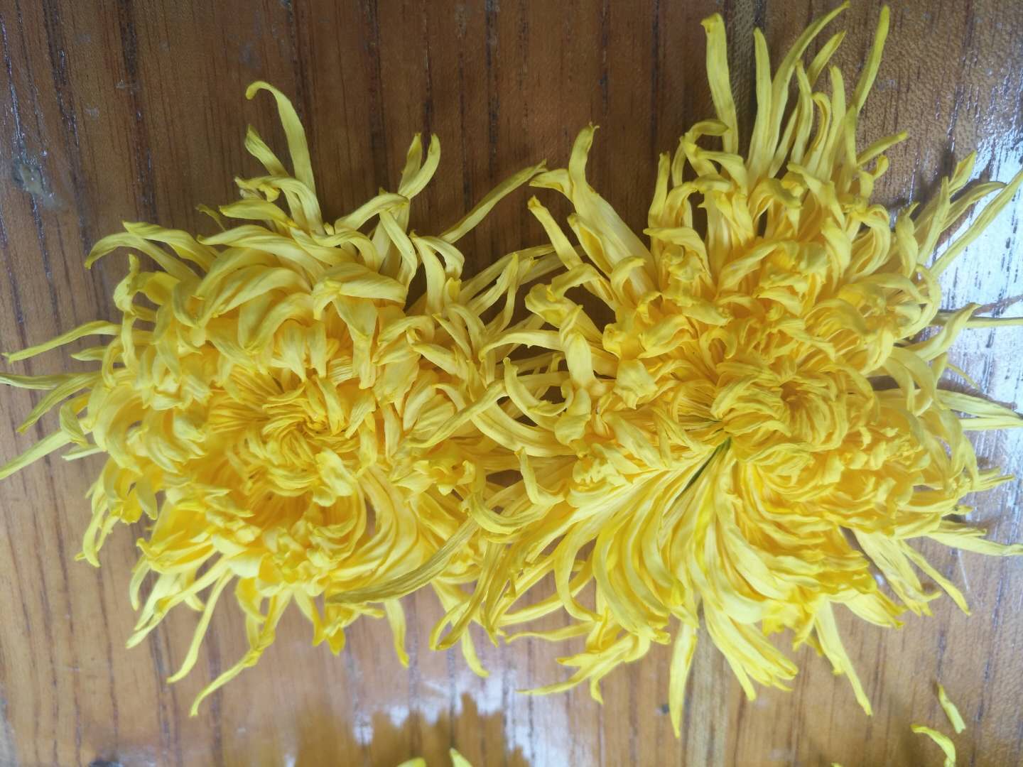 圖片1.jpg 圖片1.jpg