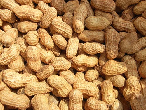 圖片1.jpg 圖片1.jpg