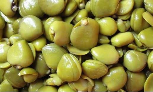 2020_10_8_15_51_0_9665.jpg 2020_10_8_15_51_0_9665.jpg