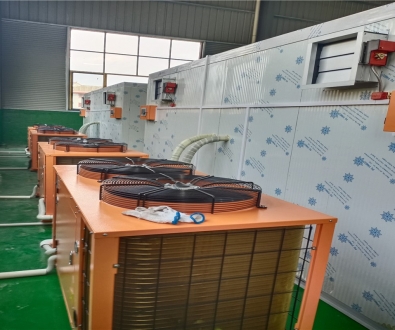 荔枝、龍眼、堅(jiān)果烘干機(jī)