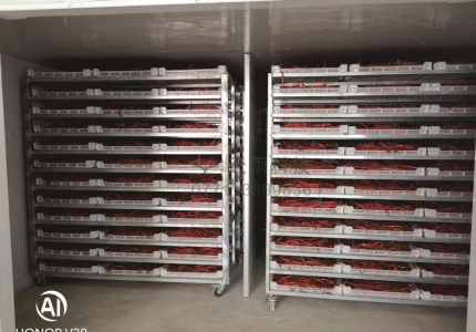 辣椒烘干內(nèi)部