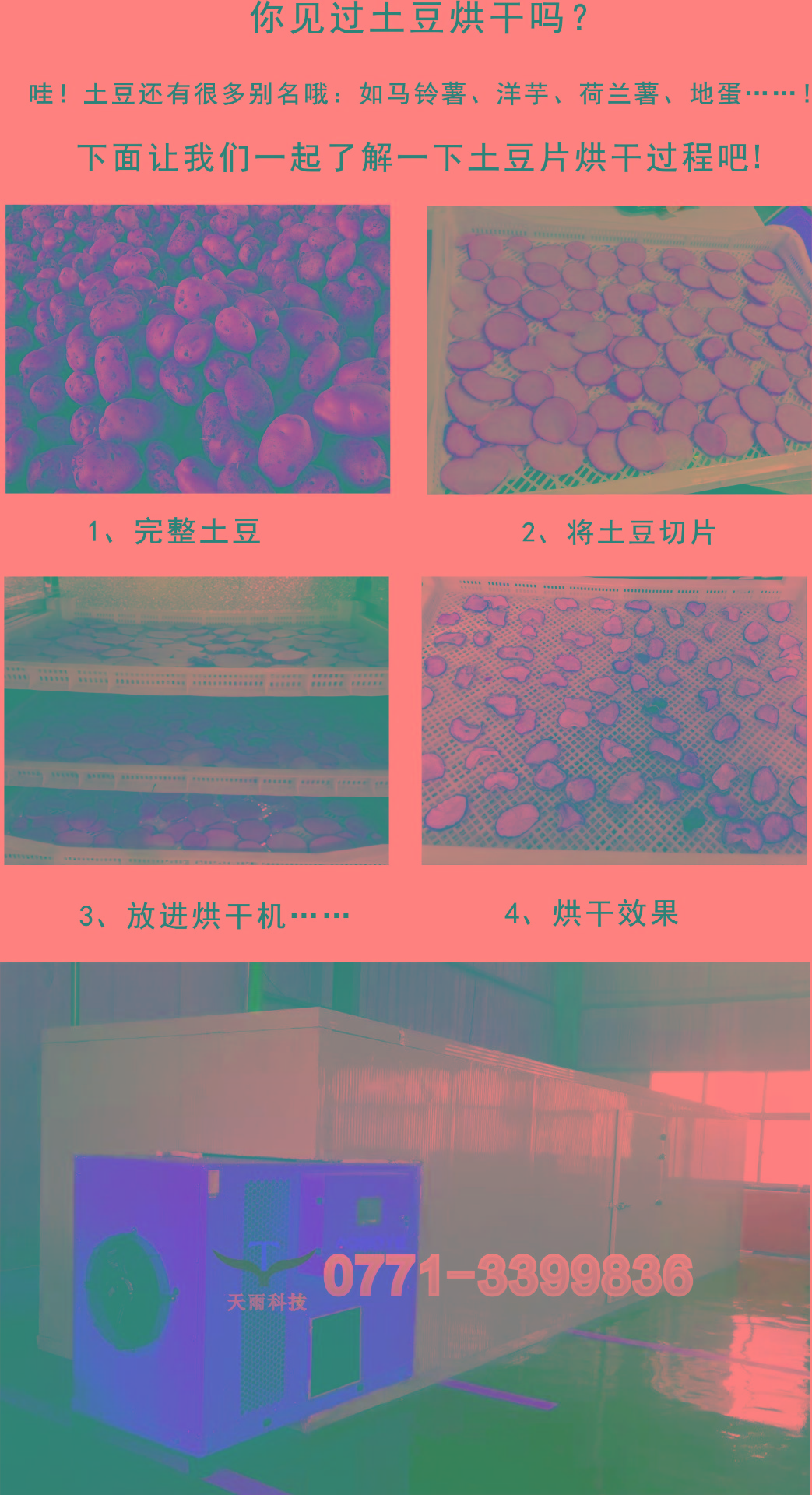 土豆.jpg 土豆.jpg