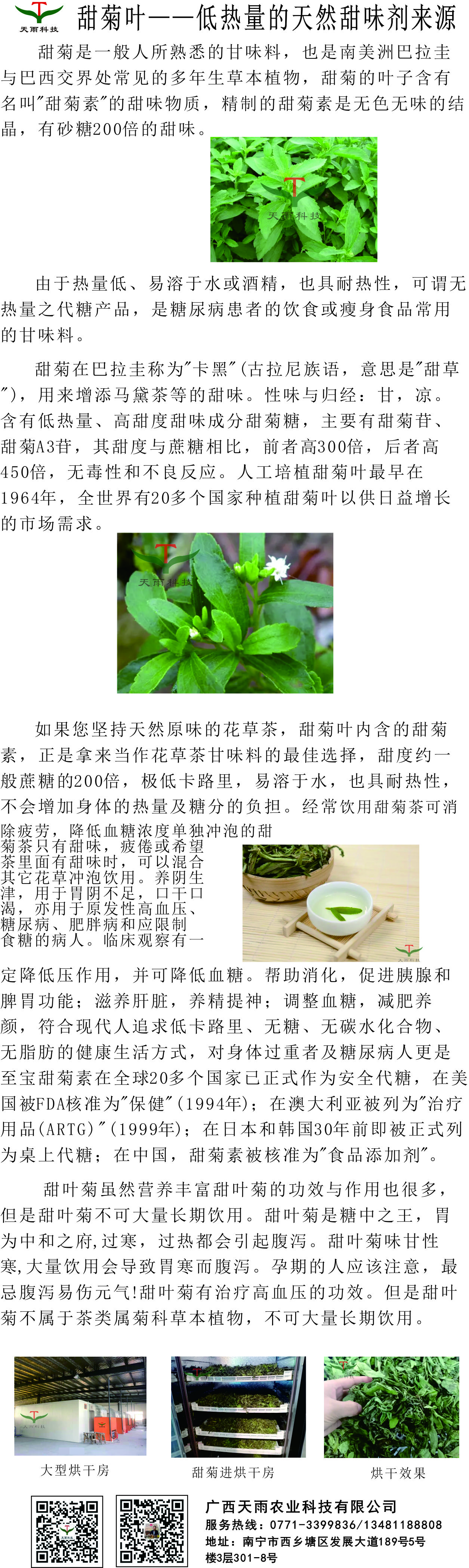 甜菊.jpg 甜菊.jpg