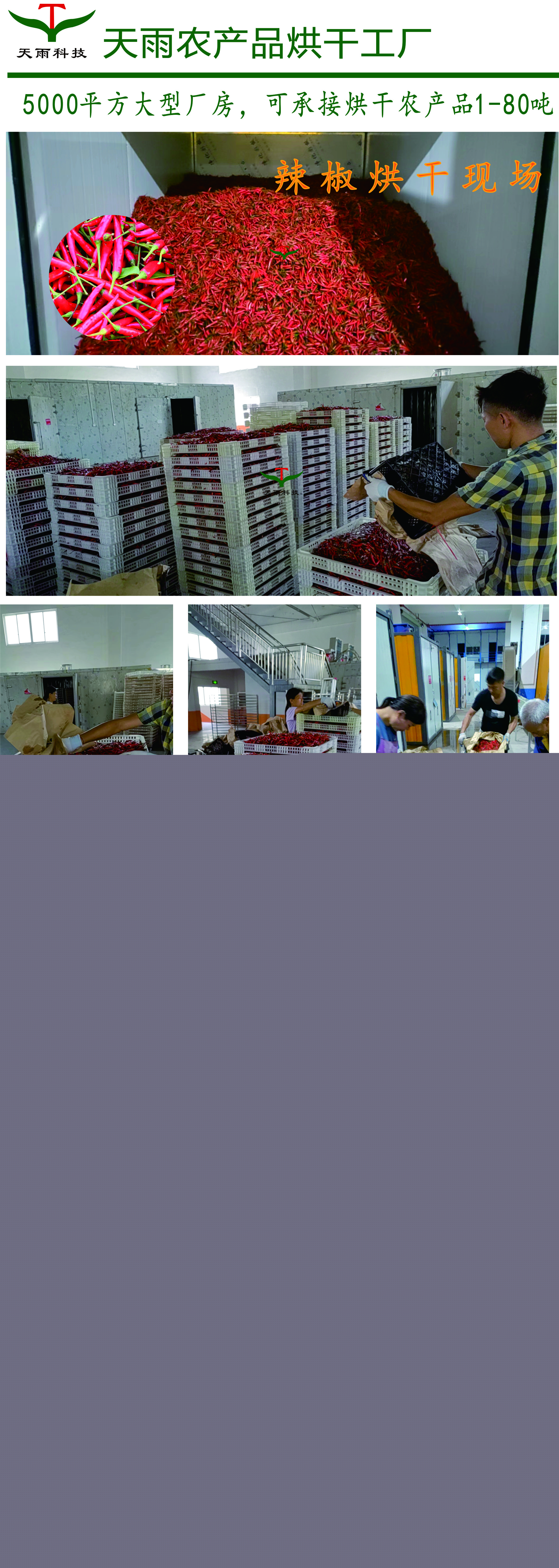 辣椒烘干.jpg