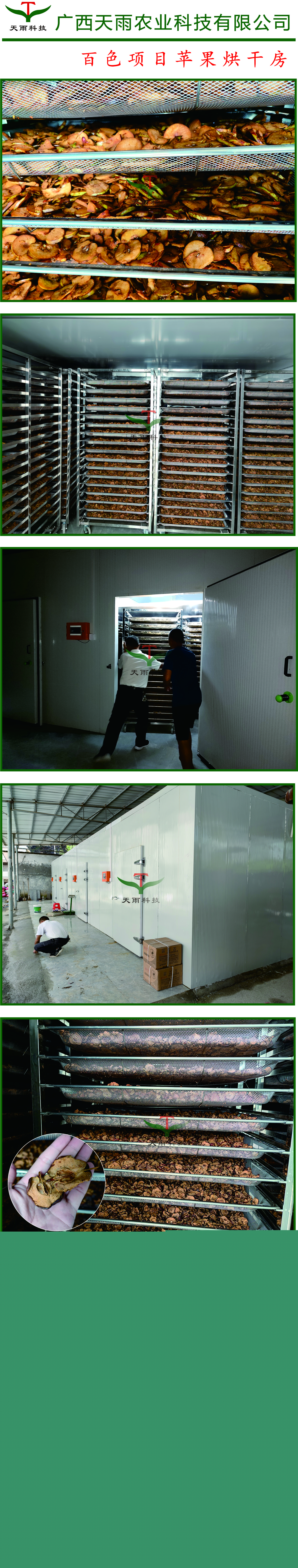 百色蘋果烘干過程.jpg 百色蘋果烘干過程.jpg